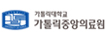 카톨릭대학교 카톨릭중앙의료원